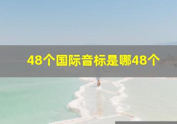 48个国际音标是哪48个