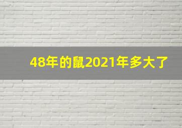 48年的鼠2021年多大了