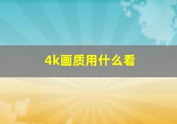 4k画质用什么看