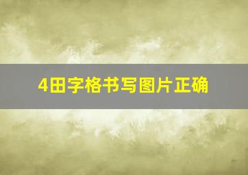 4田字格书写图片正确