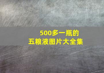 500多一瓶的五粮液图片大全集