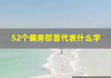 52个偏旁部首代表什么字