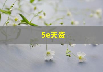 5e天资