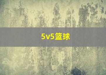 5v5篮球