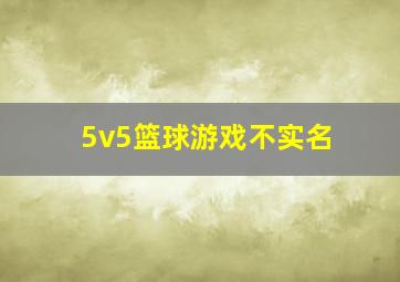 5v5篮球游戏不实名