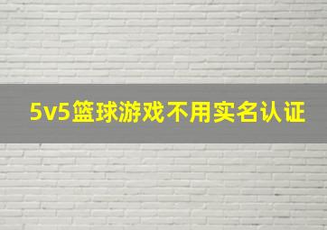 5v5篮球游戏不用实名认证