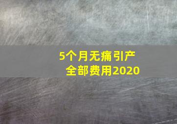 5个月无痛引产全部费用2020