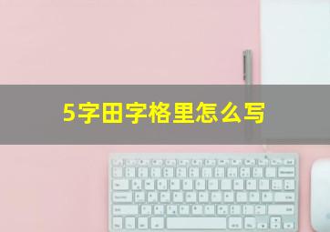 5字田字格里怎么写