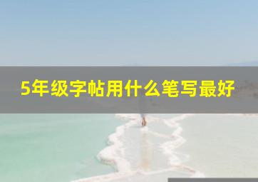 5年级字帖用什么笔写最好