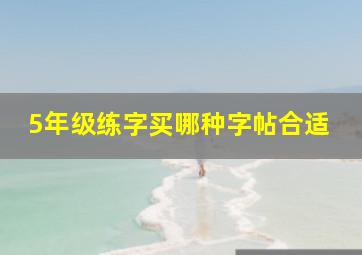 5年级练字买哪种字帖合适