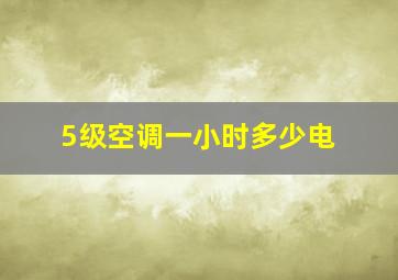 5级空调一小时多少电