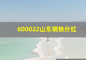 600022山东钢铁分红