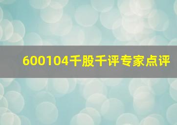 600104千股千评专家点评