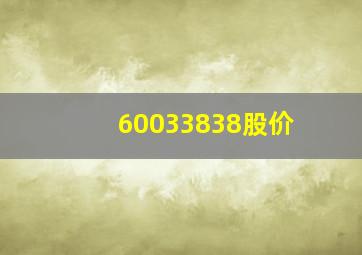 60033838股价