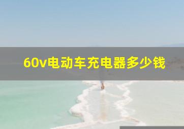 60v电动车充电器多少钱