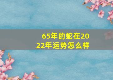 65年的蛇在2022年运势怎么样