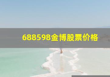 688598金博股票价格