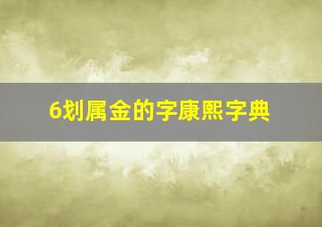 6划属金的字康熙字典