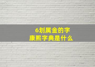 6划属金的字康熙字典是什么