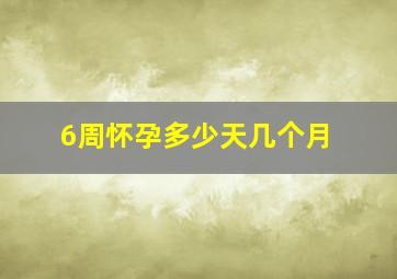 6周怀孕多少天几个月