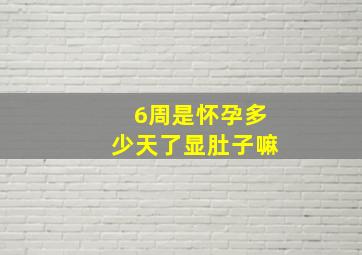 6周是怀孕多少天了显肚子嘛