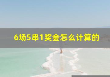 6场5串1奖金怎么计算的