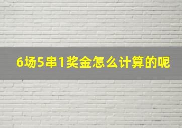 6场5串1奖金怎么计算的呢