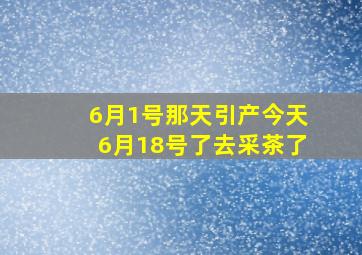 6月1号那天引产今天6月18号了去采茶了