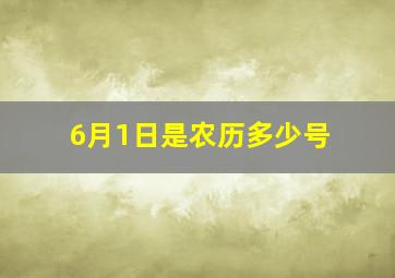 6月1日是农历多少号