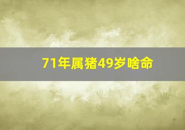 71年属猪49岁啥命