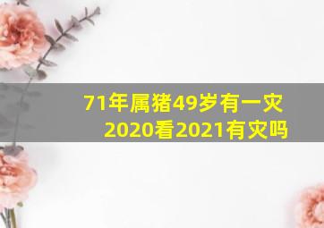 71年属猪49岁有一灾2020看2021有灾吗