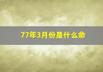 77年3月份是什么命