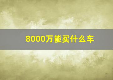 8000万能买什么车