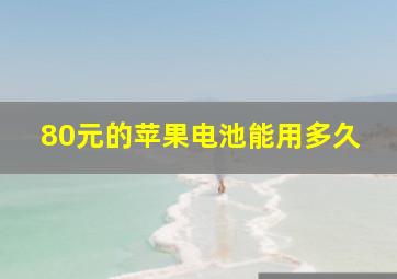 80元的苹果电池能用多久