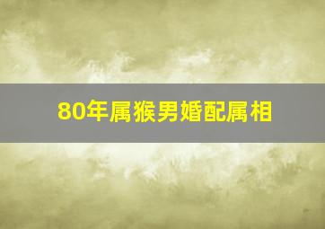 80年属猴男婚配属相