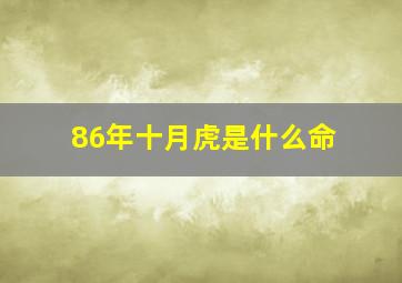 86年十月虎是什么命