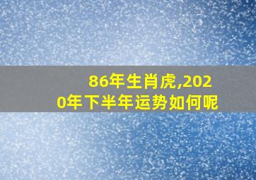 86年生肖虎,2020年下半年运势如何呢