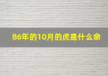 86年的10月的虎是什么命