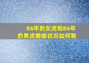 86年的女虎和86年的男虎婚姻状况如何呢