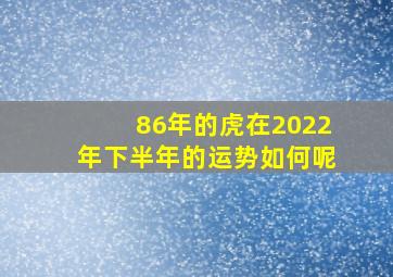 86年的虎在2022年下半年的运势如何呢