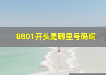 8801开头是哪里号码啊