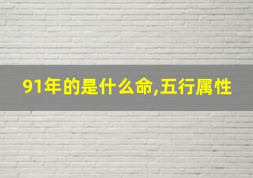 91年的是什么命,五行属性