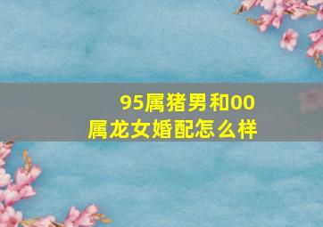 95属猪男和00属龙女婚配怎么样