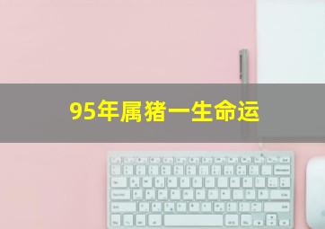 95年属猪一生命运