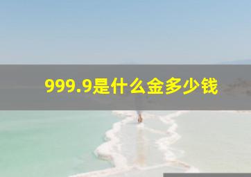 999.9是什么金多少钱