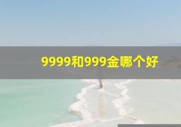 9999和999金哪个好