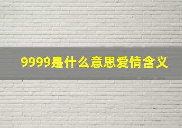 9999是什么意思爱情含义