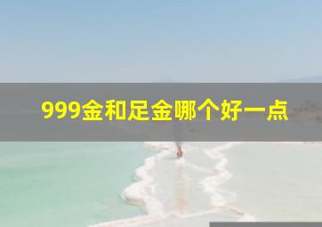 999金和足金哪个好一点