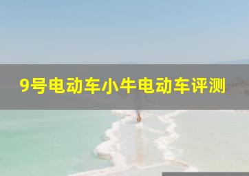 9号电动车小牛电动车评测