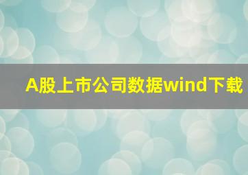 A股上市公司数据wind下载